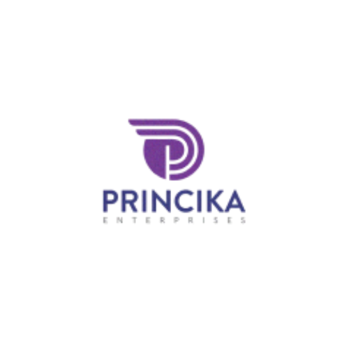 Digital-Marketing-Agency-Chennai-Our-Clients-Princika-Website.png
